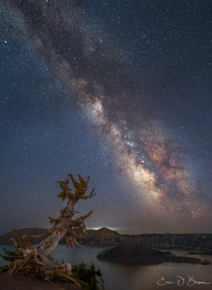 Timekeepers of the Cascades: Crater Lake Under Starlight - The gnarled branches of a weathered tree stand sentinel over the calm waters of Crater Lake as our galaxy's cosmic core paints the night sky with celestial light, captured during a rare clear evening in Oregon's most iconic national park.